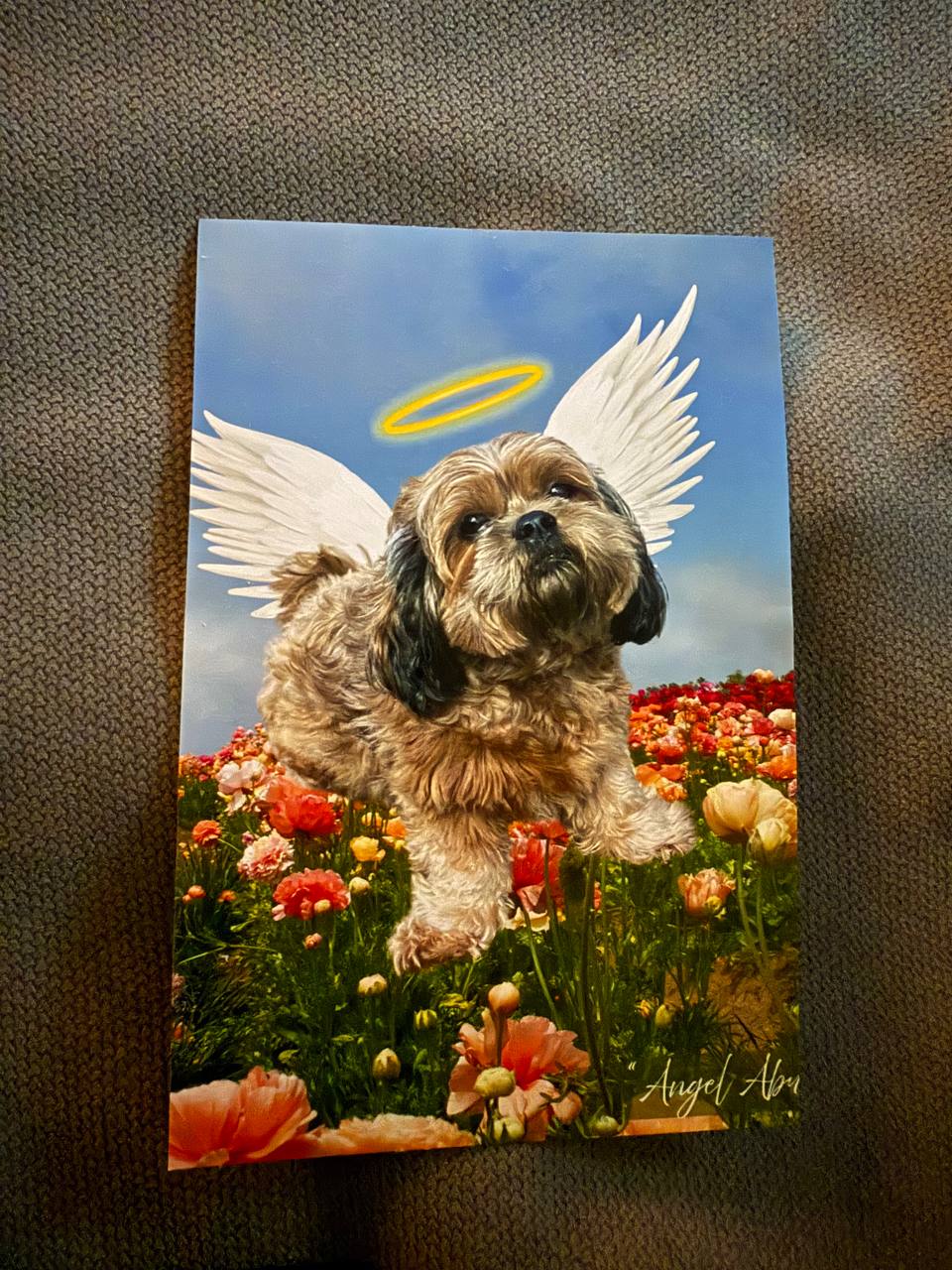 Angel Image